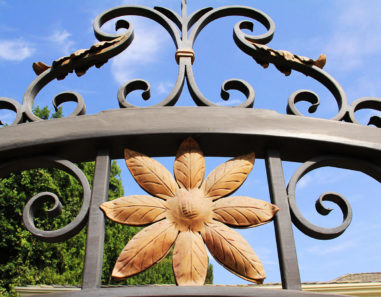 close up of wrought iron gate accented with tropical gold flowers and leaves